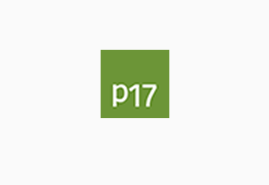 P17 GmbH